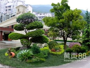 看好你“熙运” 山东城市园林绿化的新篇章